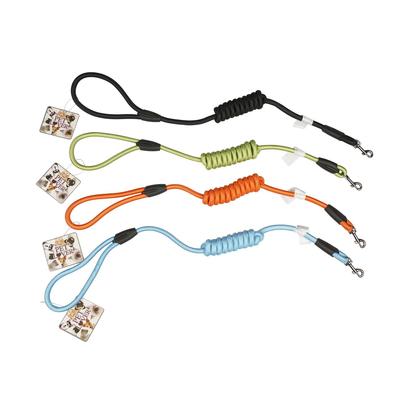 Dog Leash Small 72 "- 4 Assortments 