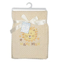 Boys Fleece with Embroidery Baby Blanket - Offpricebundles