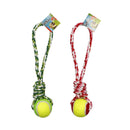 Cotton Dog Toy with Tennis Ball- 2 Assortments
